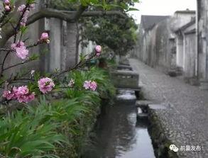 水系八卦,揭秘五行相生相克之奥秘